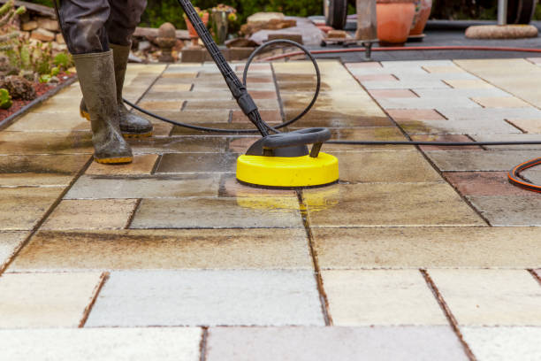 Best Pre-Holiday Cleaning  in Hampton, IL