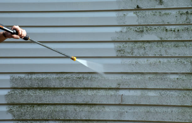 Best Patio and Deck Pressure Washing  in Hampton, IL