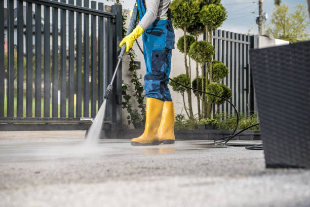 Best Graffiti Removal  in Hampton, IL