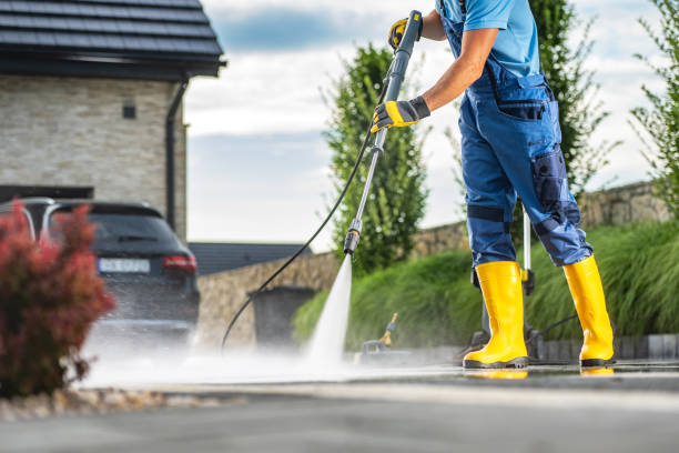 Best Gutter Cleaning  in Hampton, IL